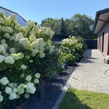 Weitblick-mit-kind-und-hund *