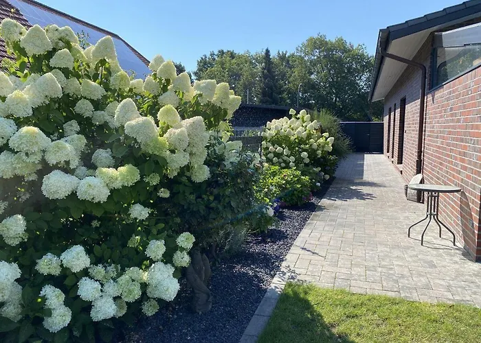 Weitblick-mit-kind-und-hund *